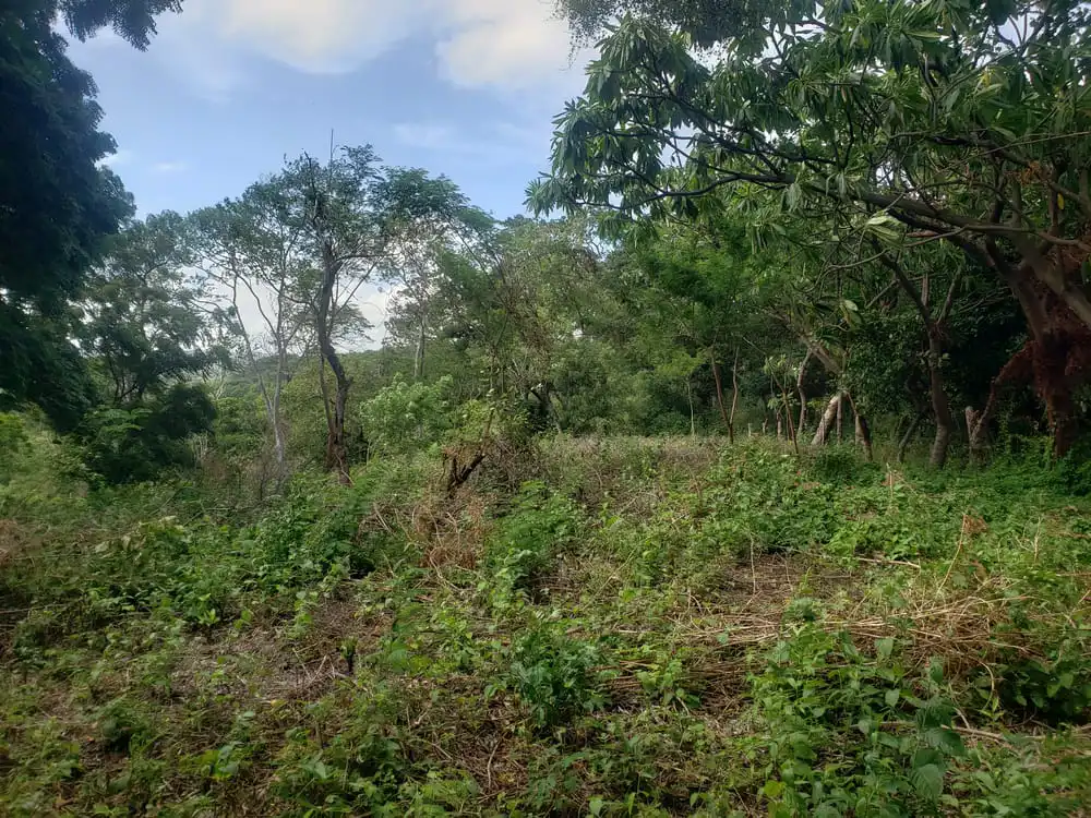 Terreno en Venta Ticomo Sur - 6 copia