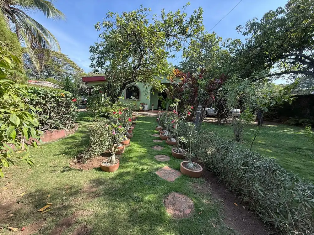 Quinta en Venta Km 12 Carretera a Masaya - 14