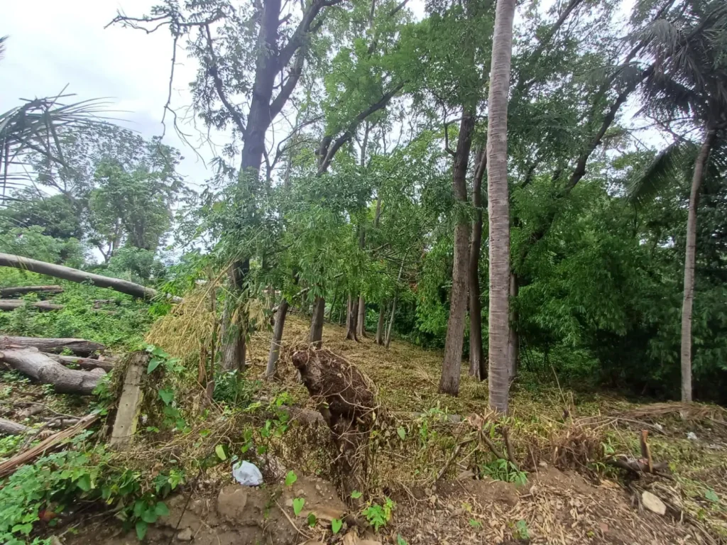 Terreno en Venta Carretera Sur - 1