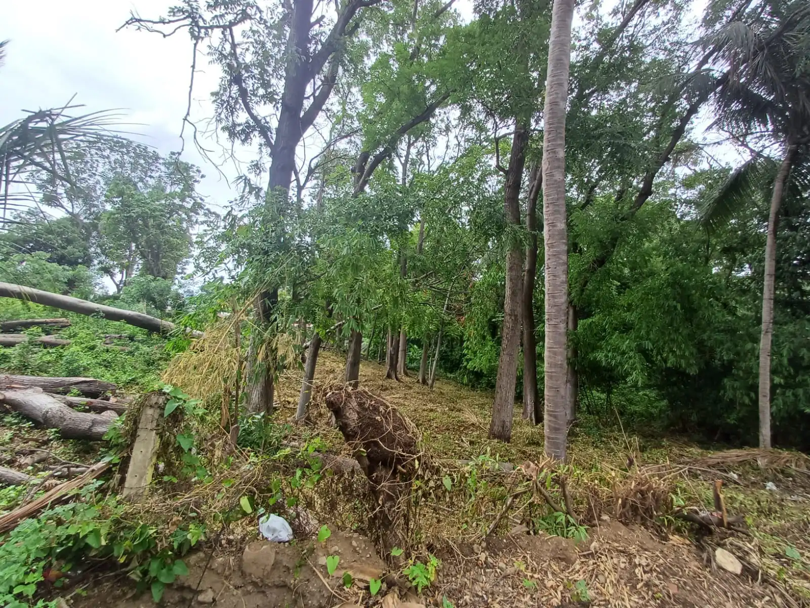 Terreno en Venta | Carretera Sur