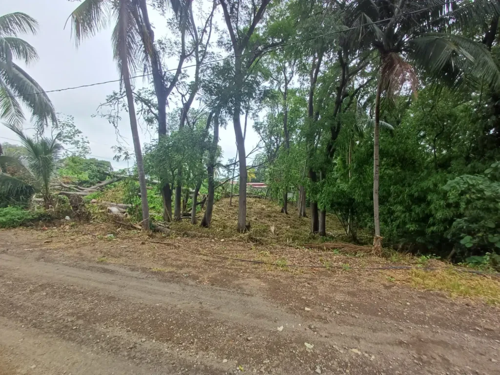 Terreno en Venta Carretera Sur - 2